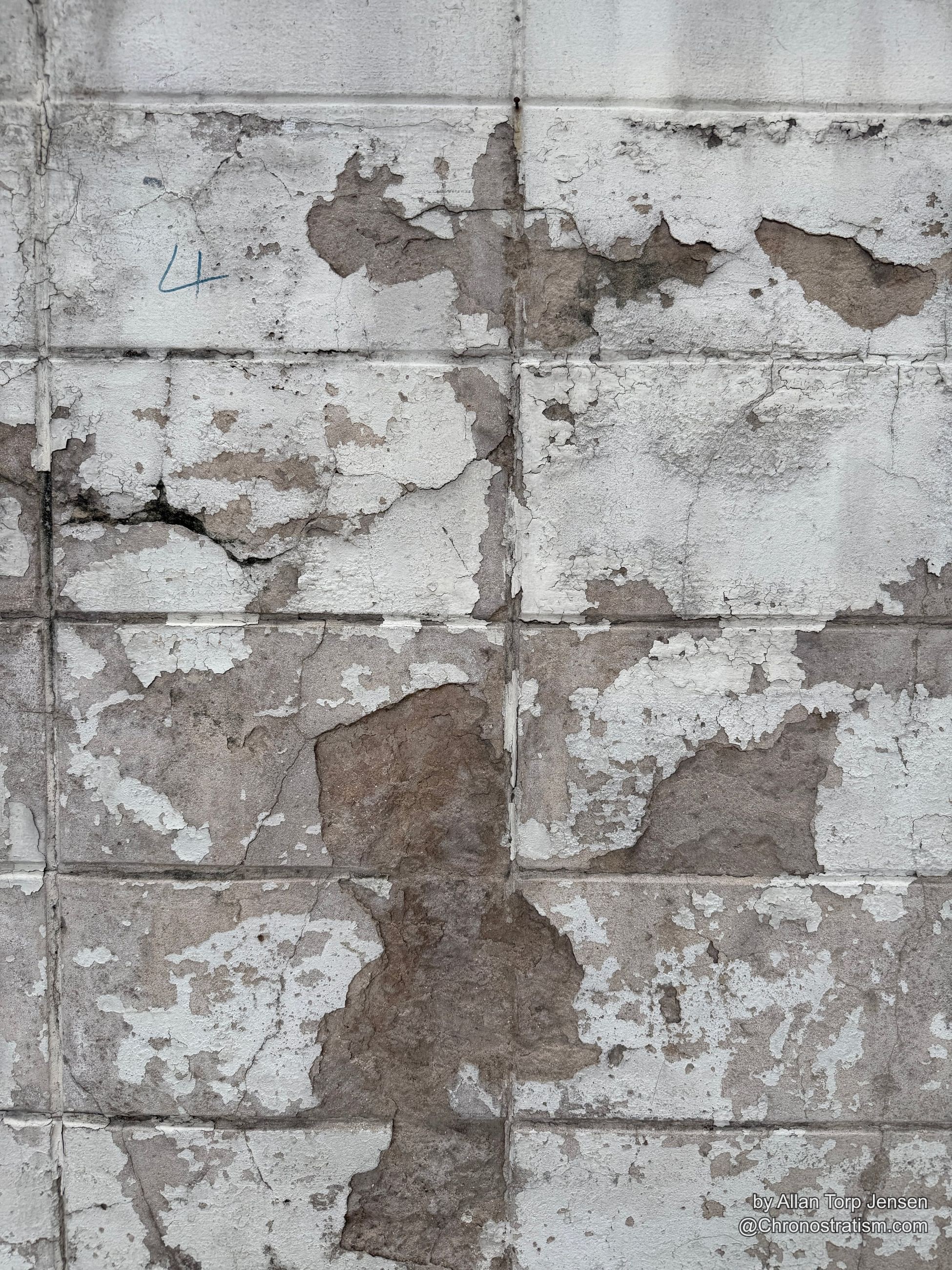 Wide view of a tiled panel wall — white paint peeling away in broad sheets to reveal a tan substrate beneath, hairline cracks threading through the grout lines.
