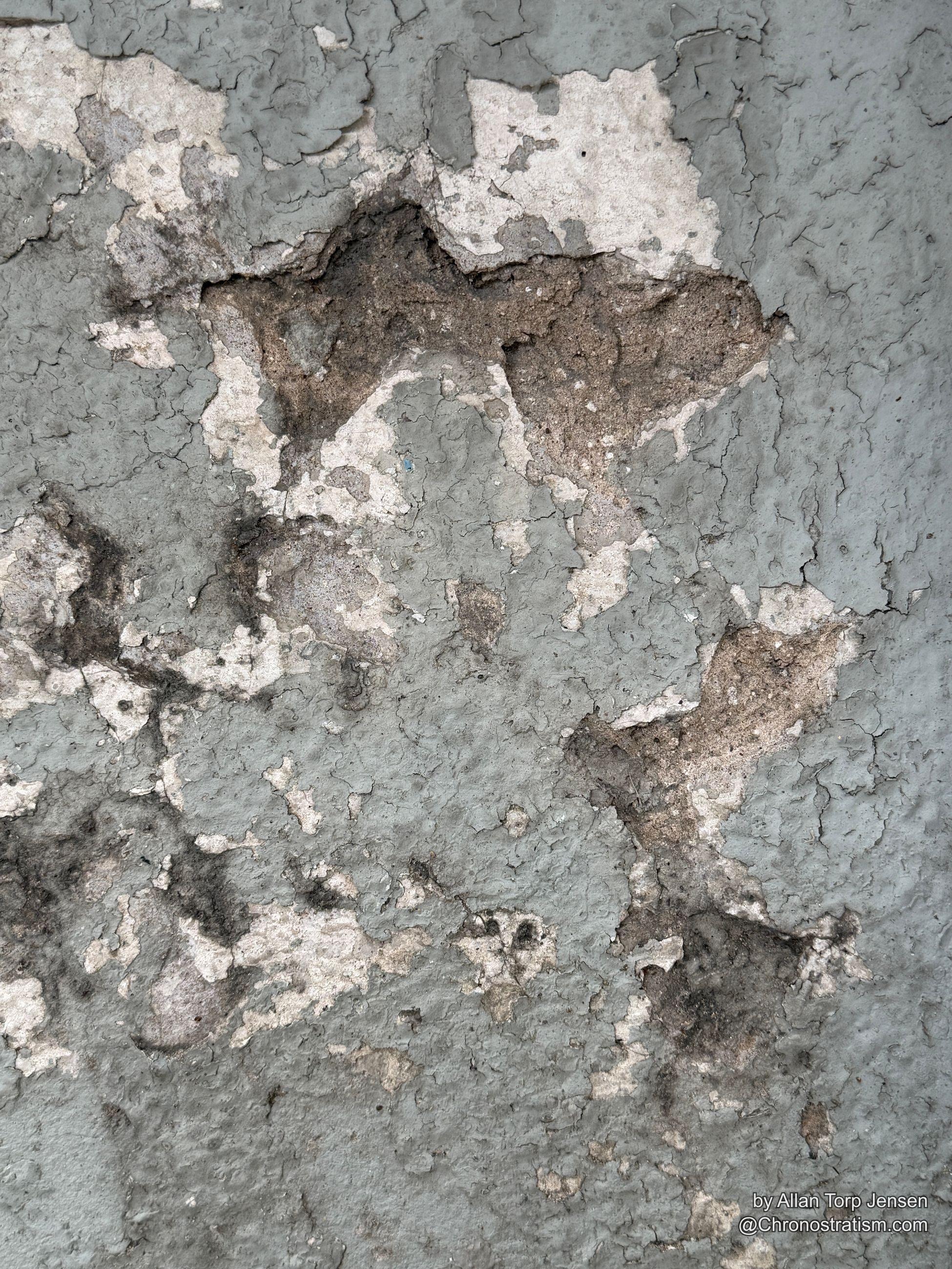 Fine alligator cracking spreads across grey-blue painted concrete, dark mold blotches and patches of an older white layer breaking through beneath.