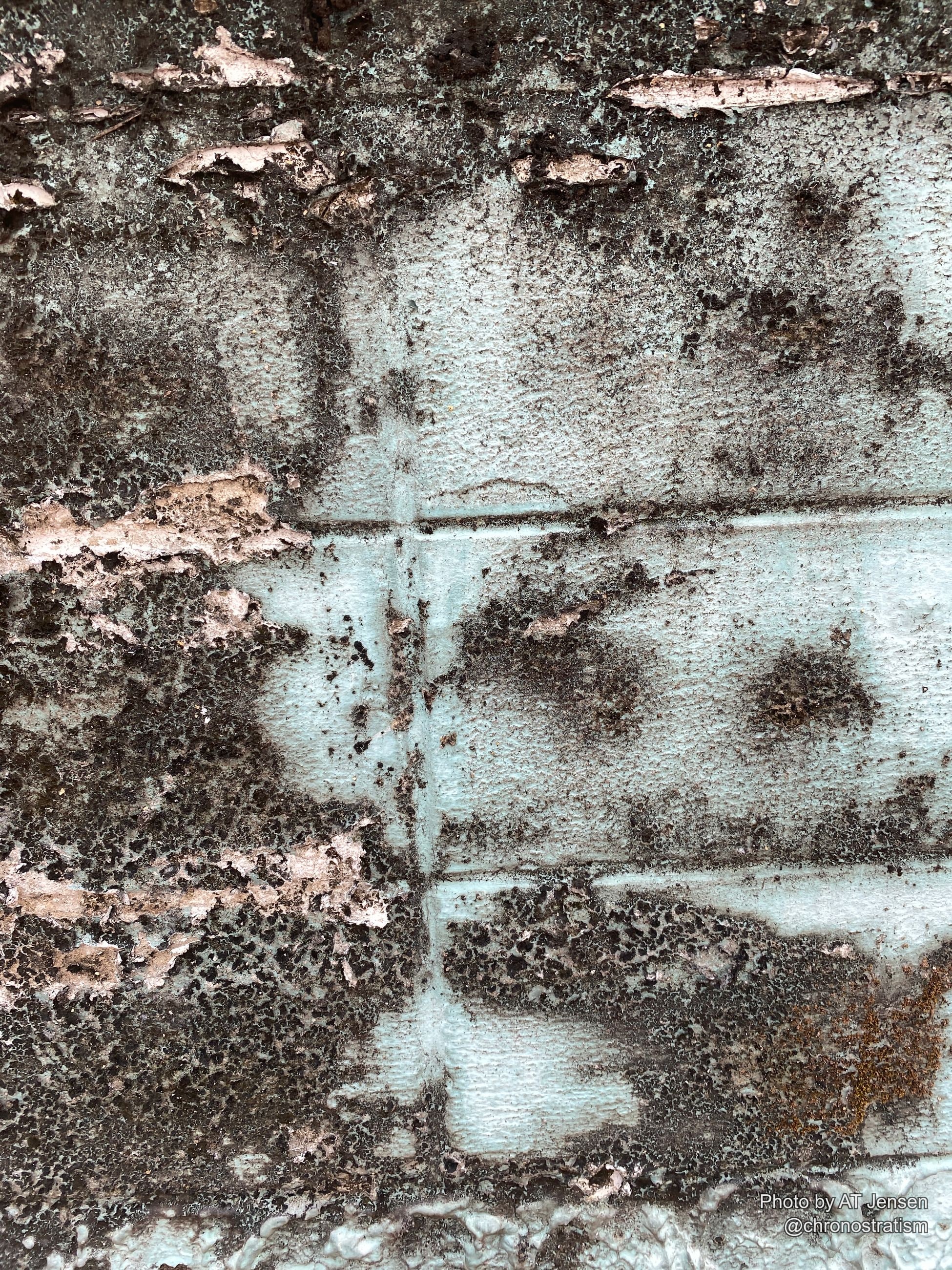 Black soot and mold mottle a pale rendered wall in dense, uneven patches.