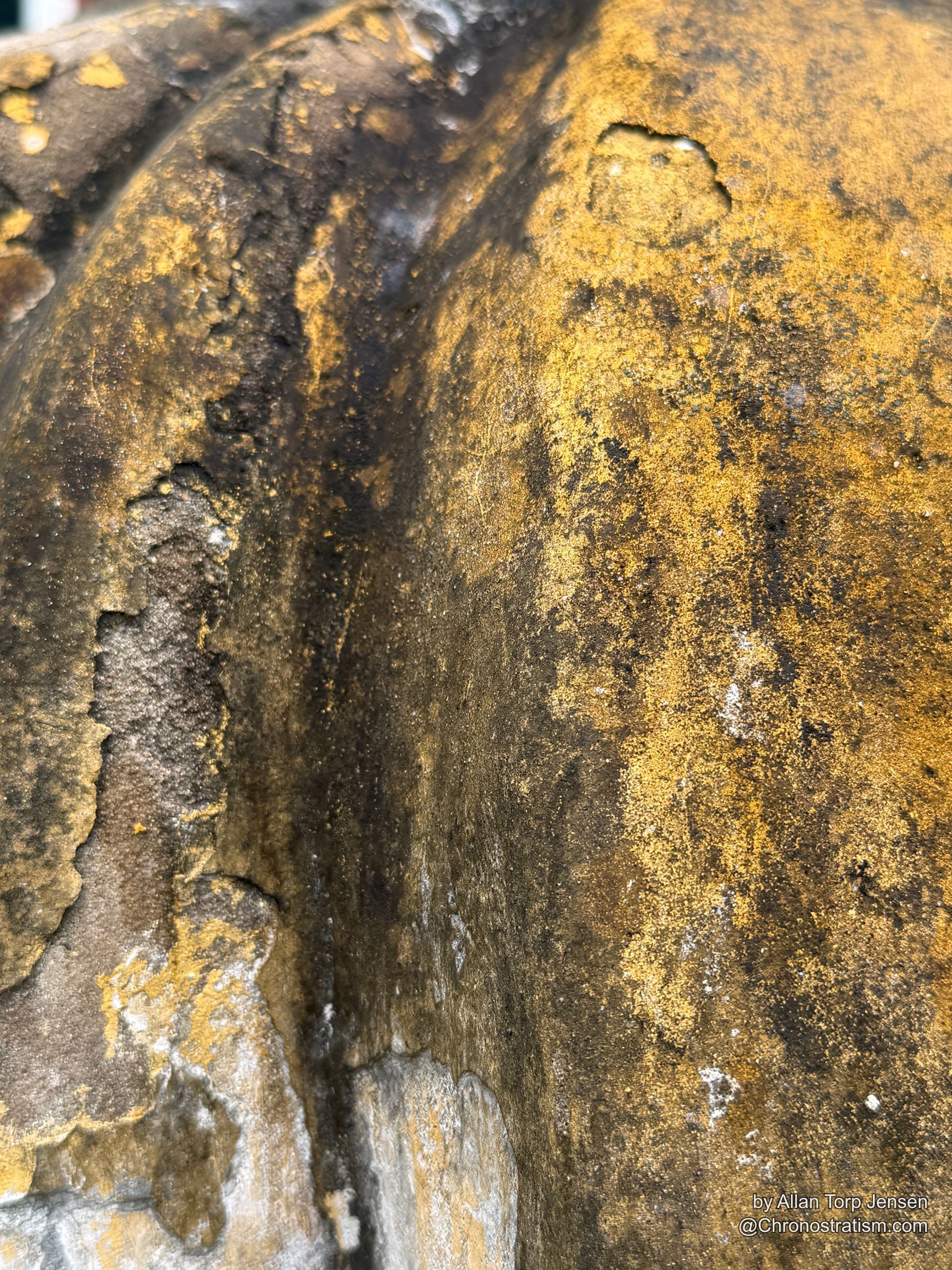 Close mottled detail of soot and gold patina blending across the statue.