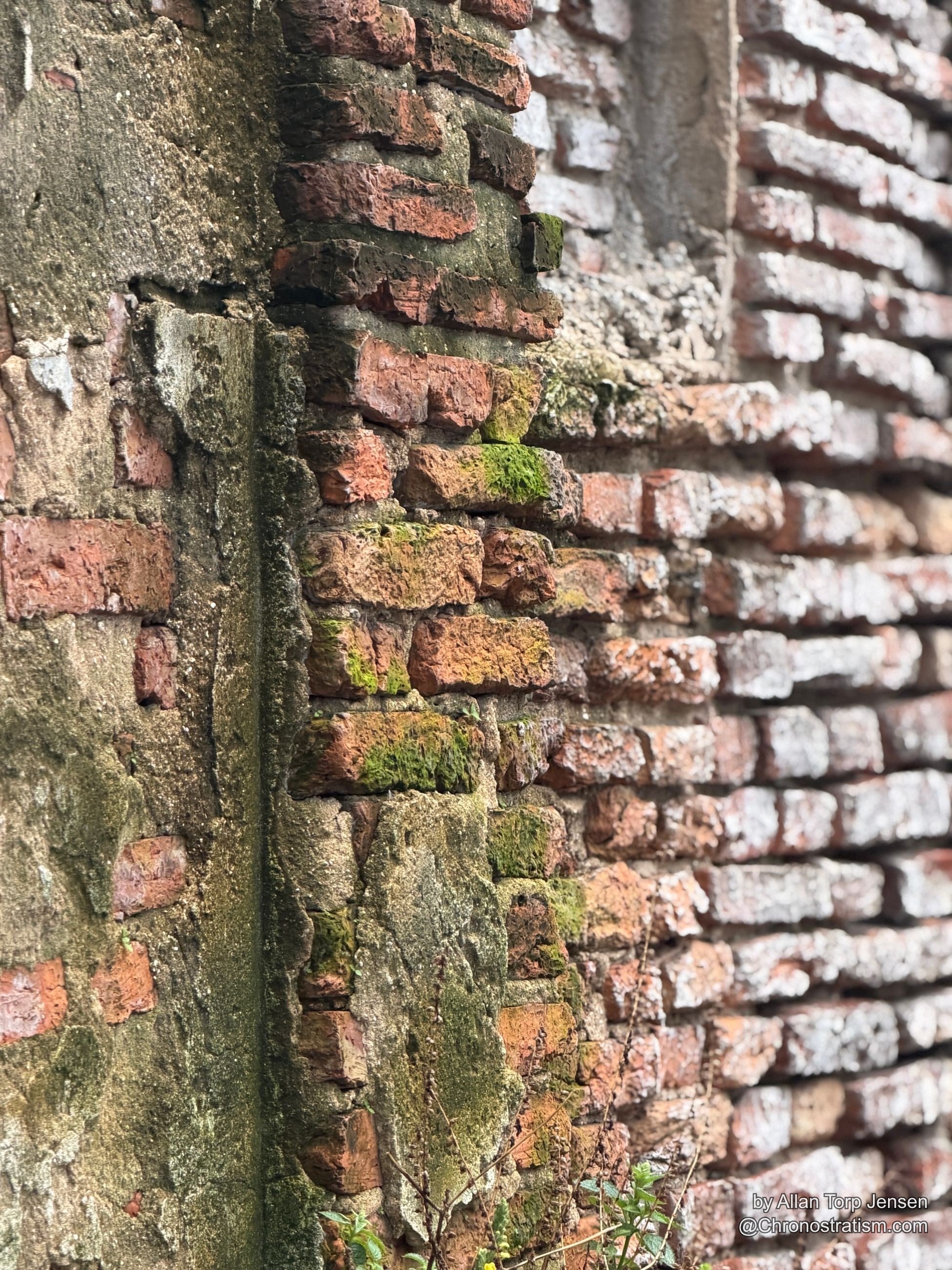Closer view of the same brick corner, moss tracing the joints between weathered bricks.