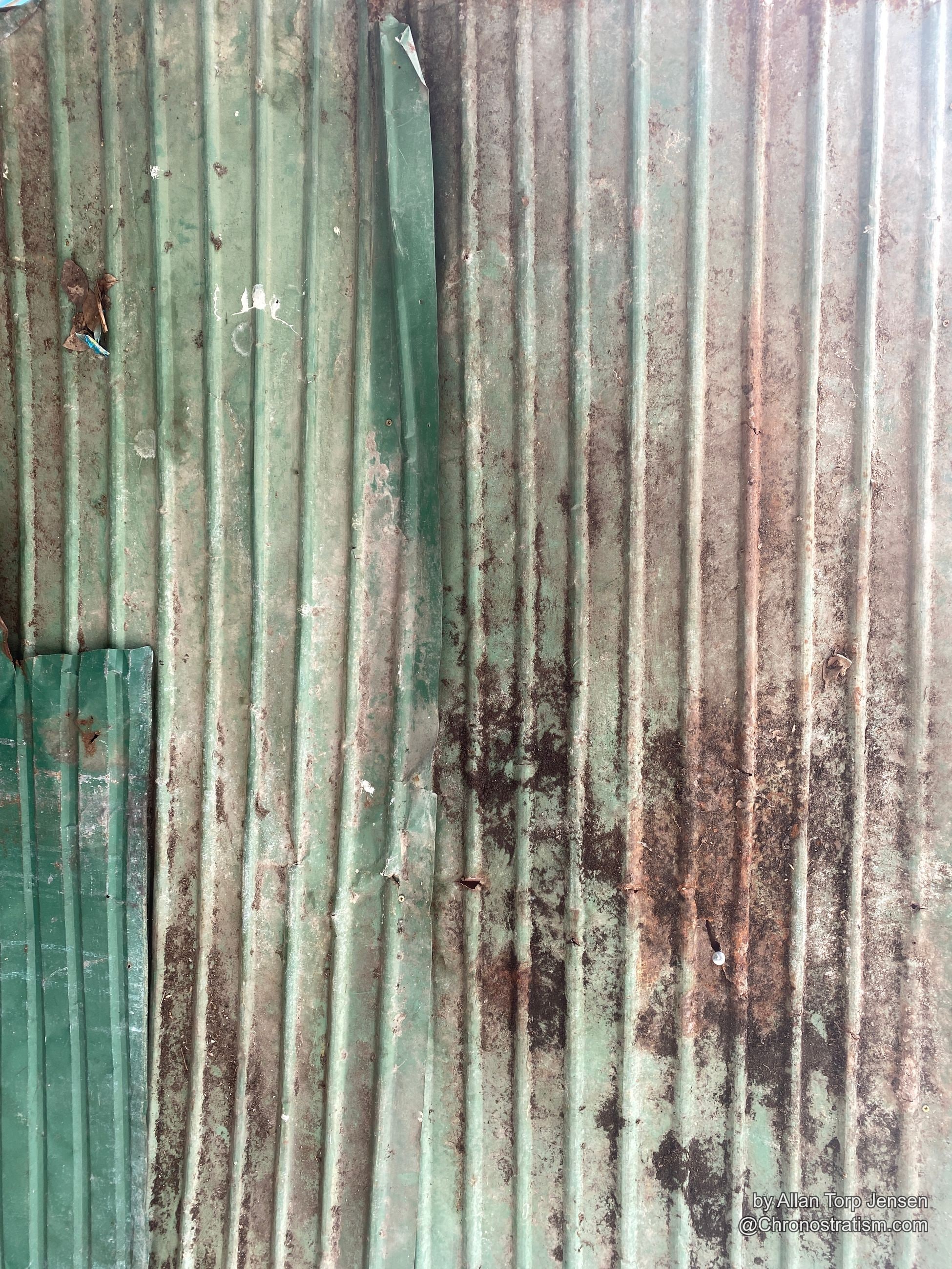 Dark mildew blotches spread across weathered green corrugated metal roofing.