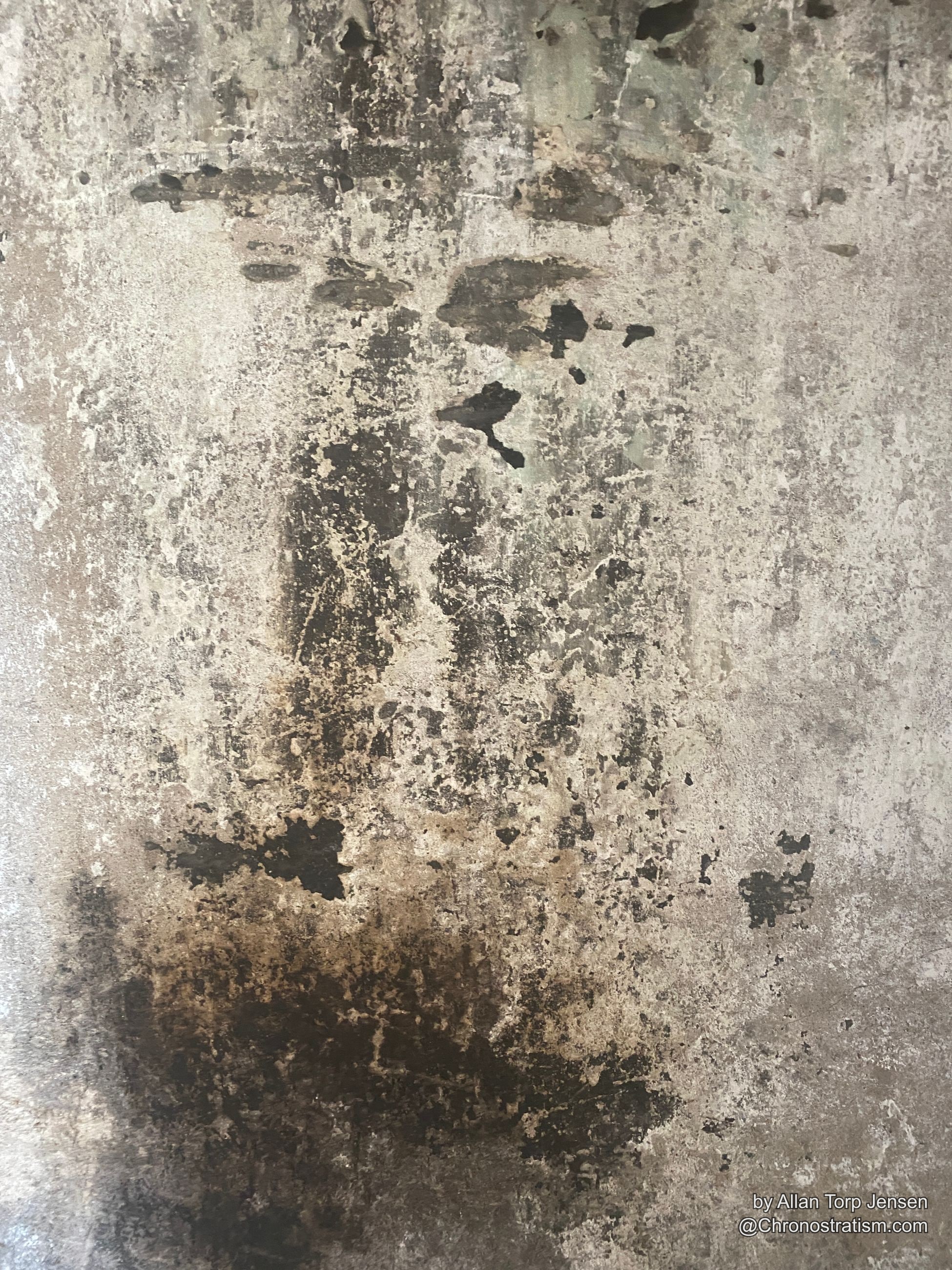 Dark mould blotches mottle a plain weathered concrete wall.