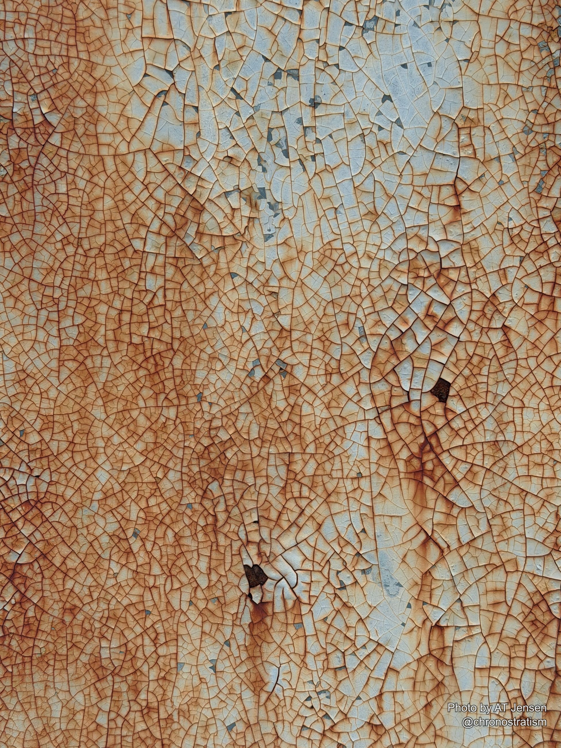 Fine craquelure spreads evenly across a pale panel, faint rust freckling through hairline breaks.