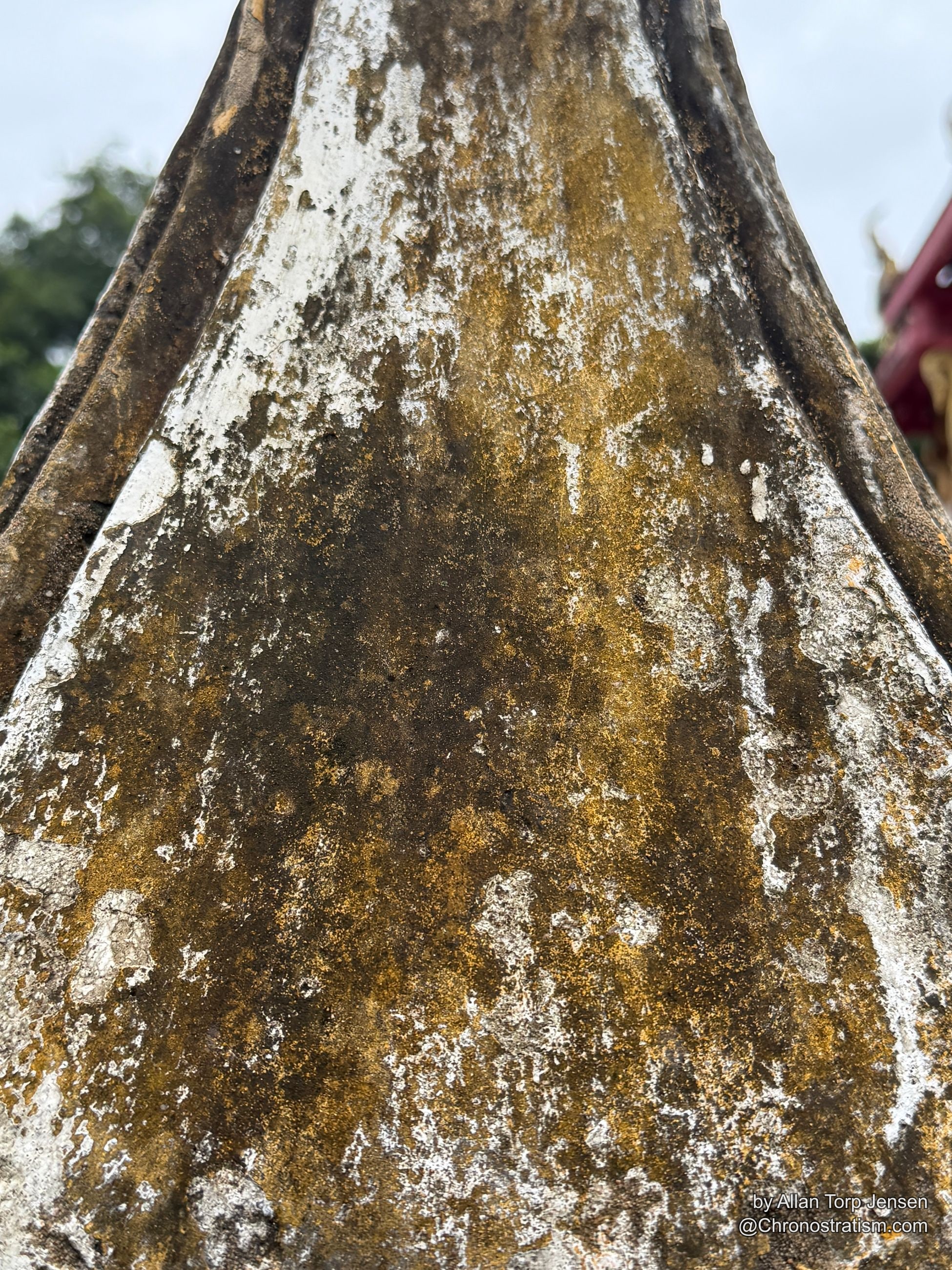 Fine-grained gold and black mottling covers the gilded statue’s flank.