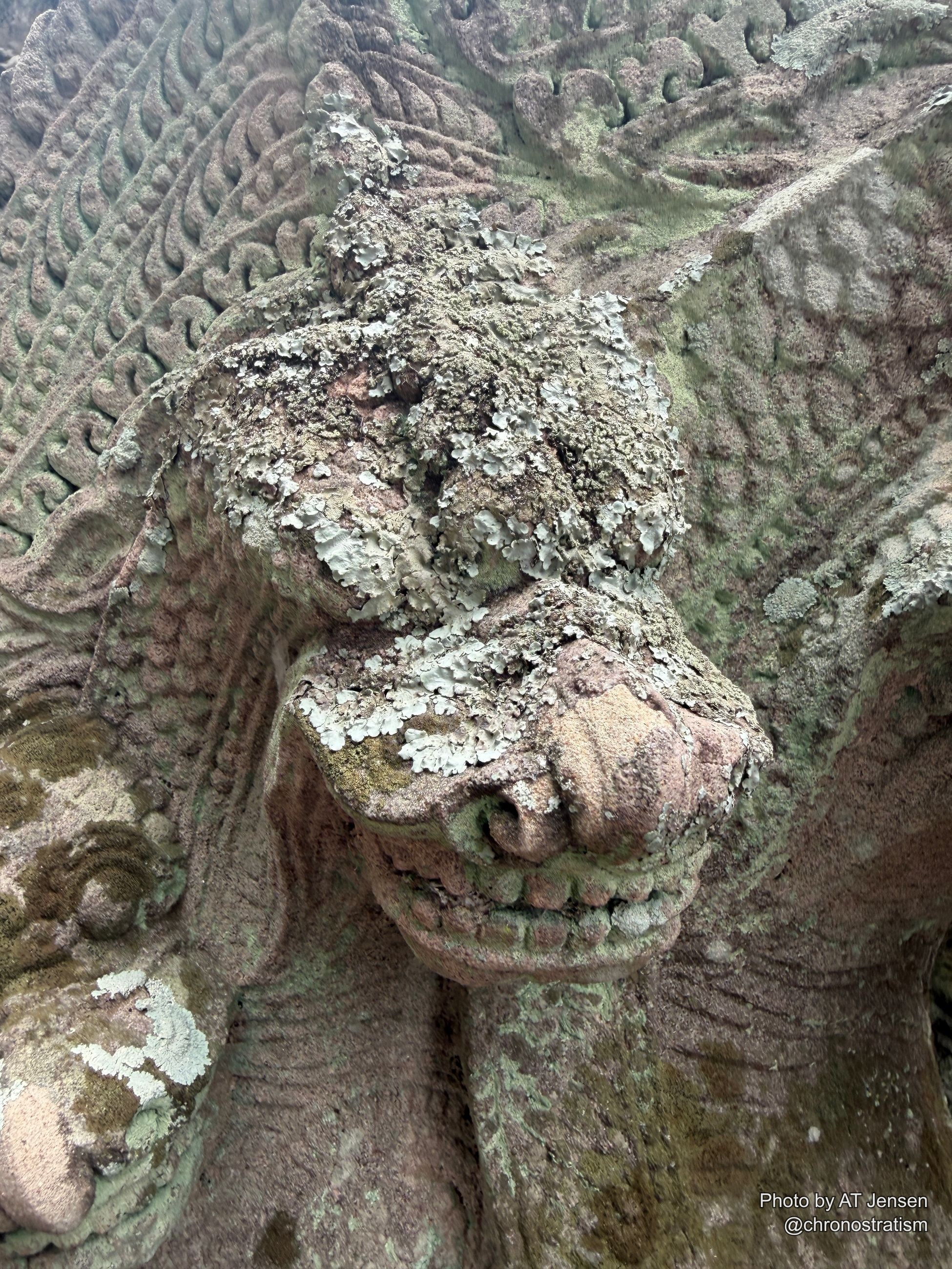 Lichen crusts the carved lion-head guardian in pale patches.