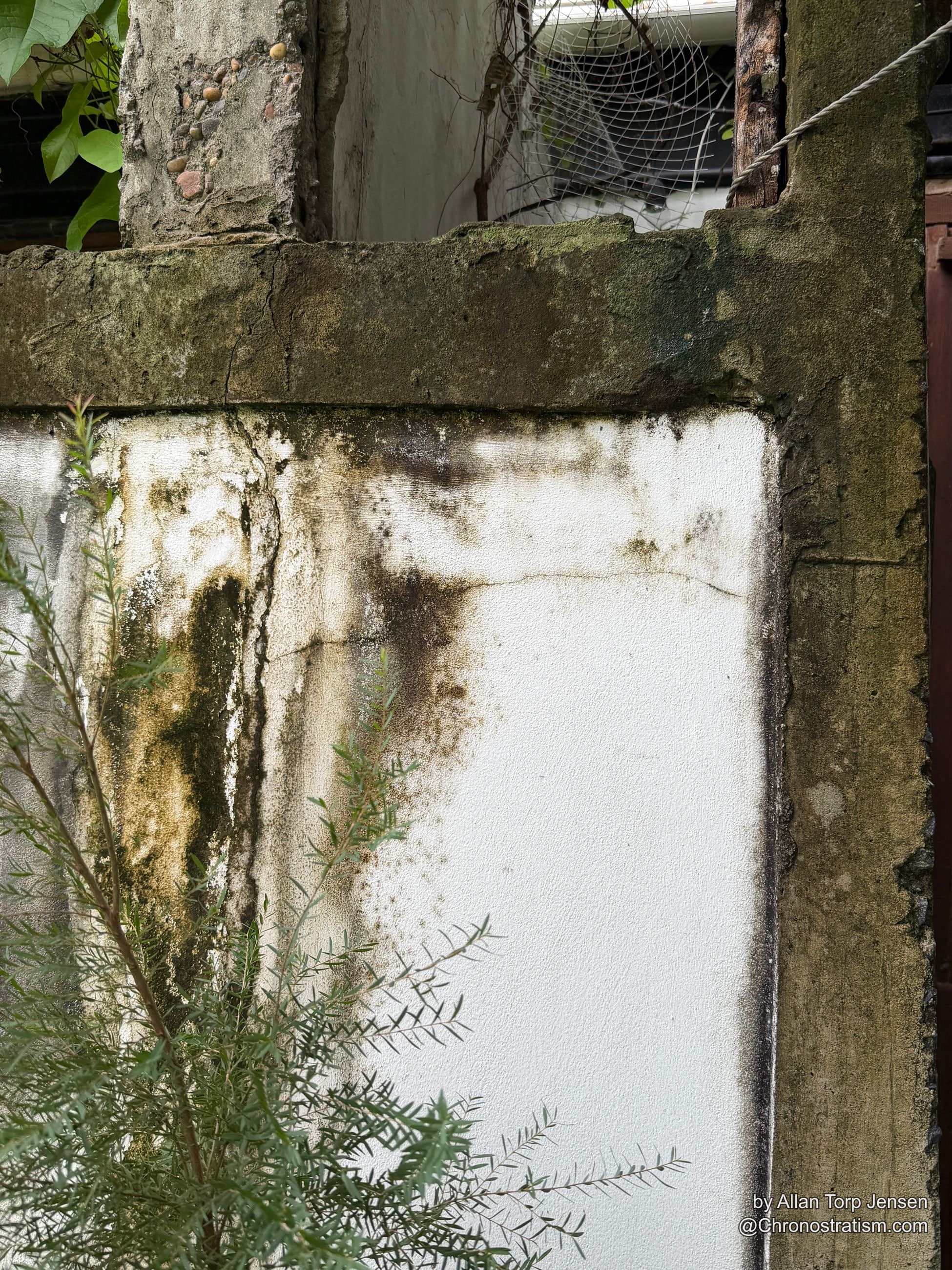 A moss-covered concrete corner pillar meets a mold-blotched white render panel, a wire fence and green branches at the edges.