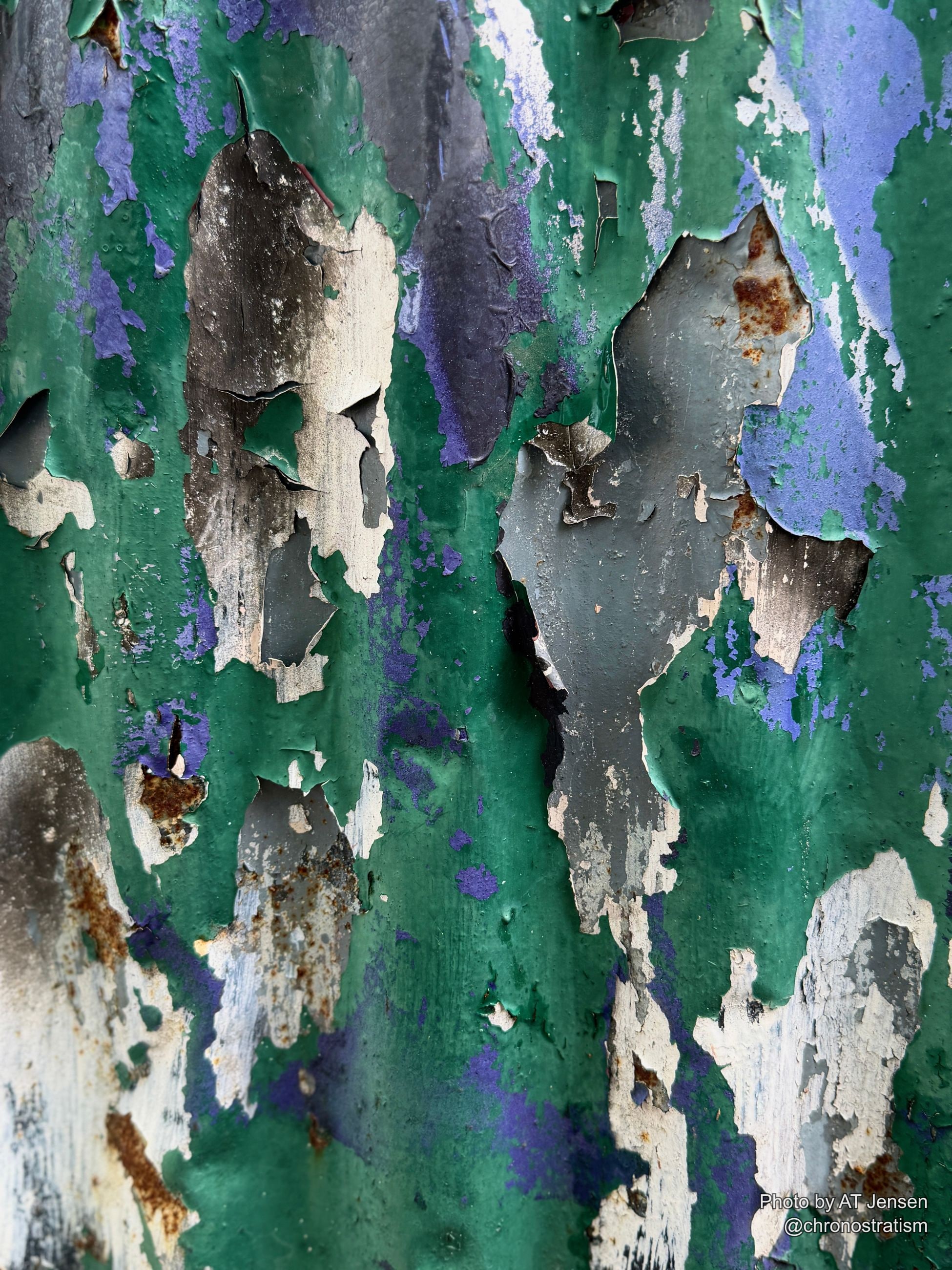 Peeling paint continues in broad curling sheets along the fence.