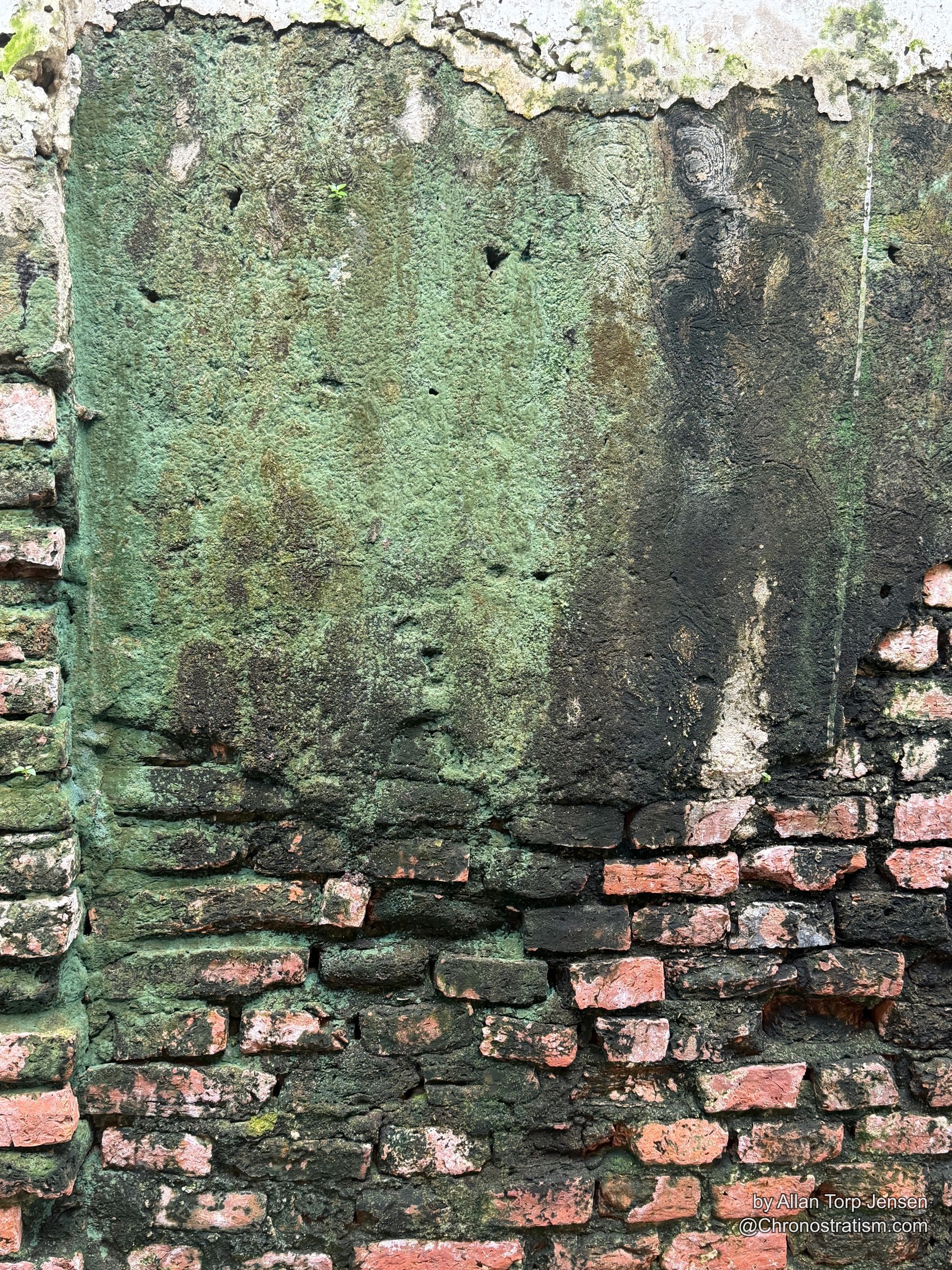 The same lichen-coated brick wall from a wider angle, white render bordering one edge.
