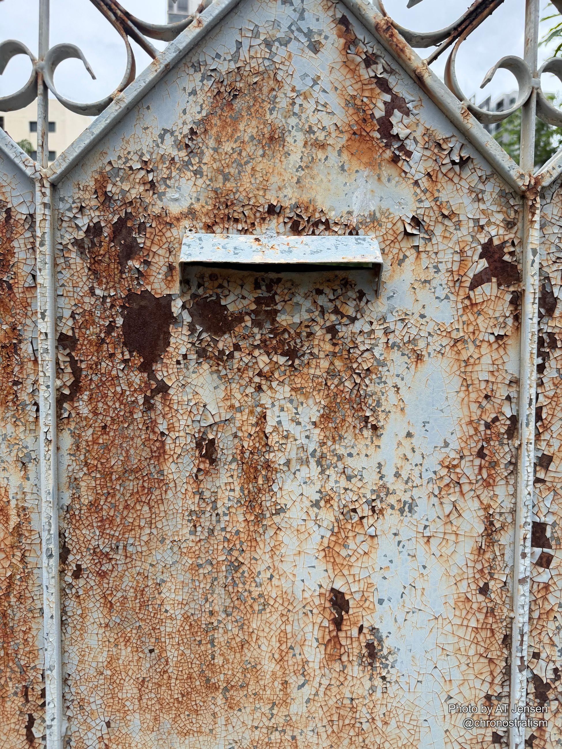 Sunlight rakes across a decorative iron gate panel, its cream paint craquelured and rusting around a recessed slot.