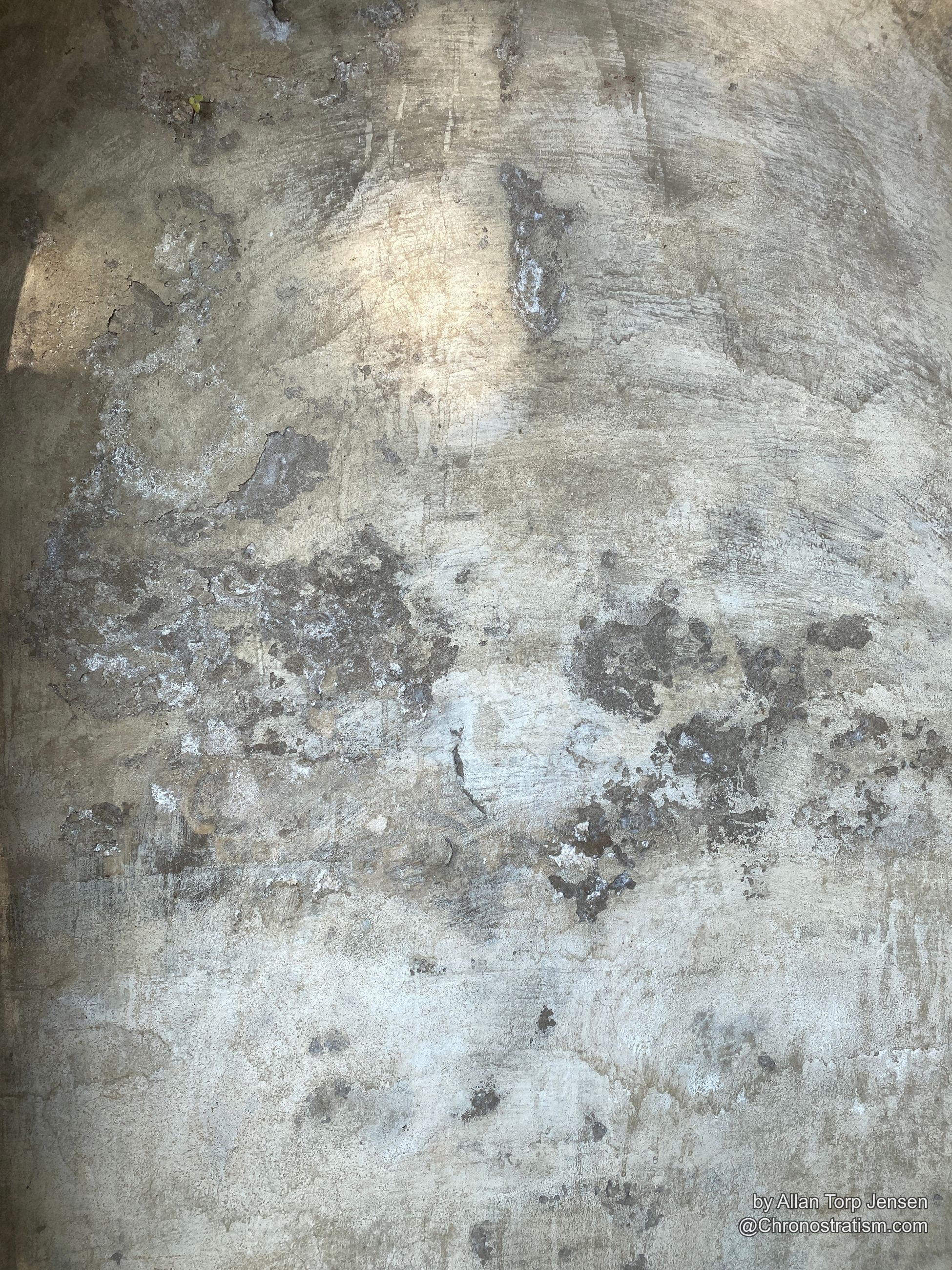 Sunlit, mould-blotched concrete wall with a subtly mottled, weathered surface.
