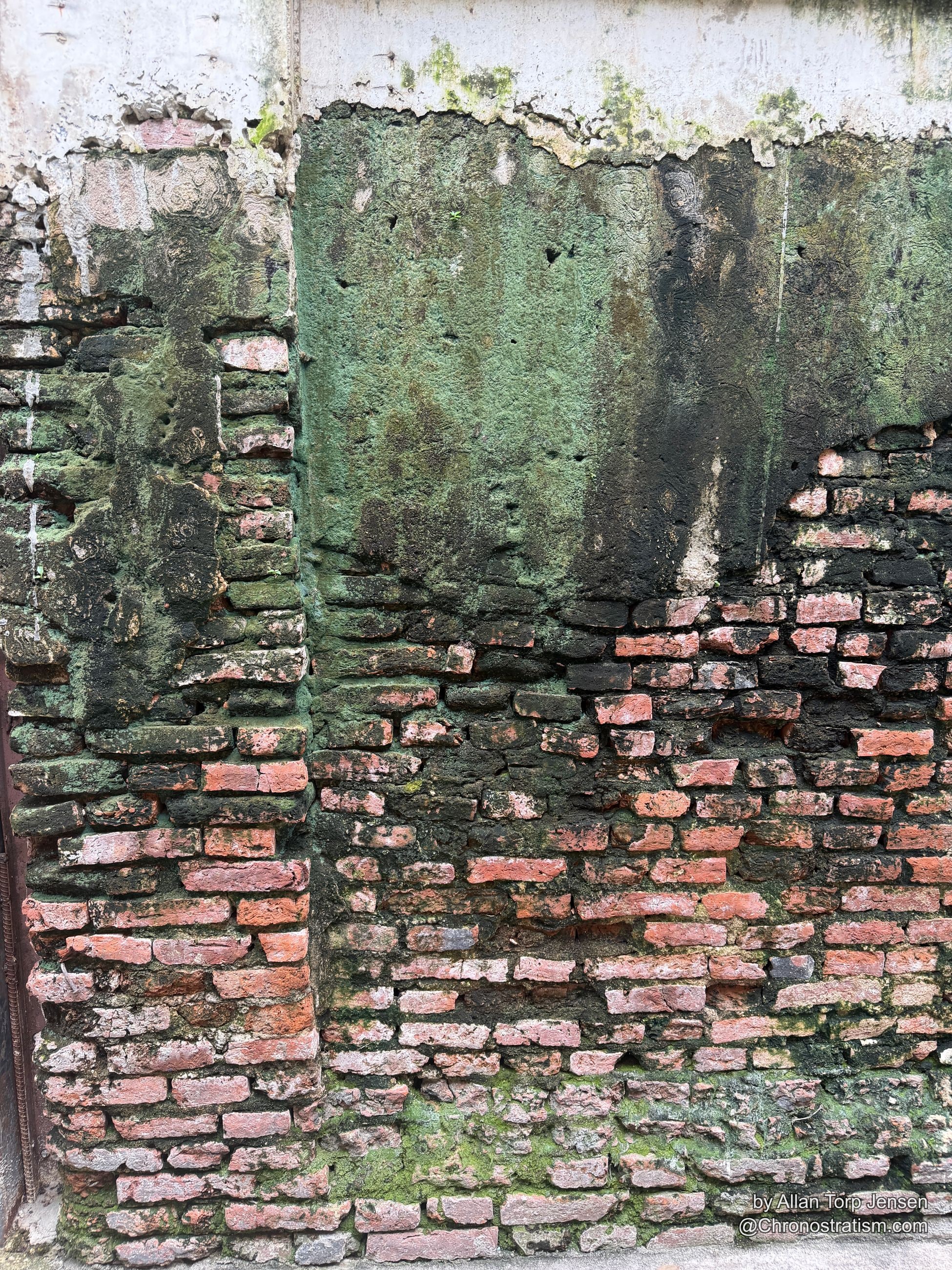 Vivid green lichen sheets a brick wall, patches of bare red brick showing through.